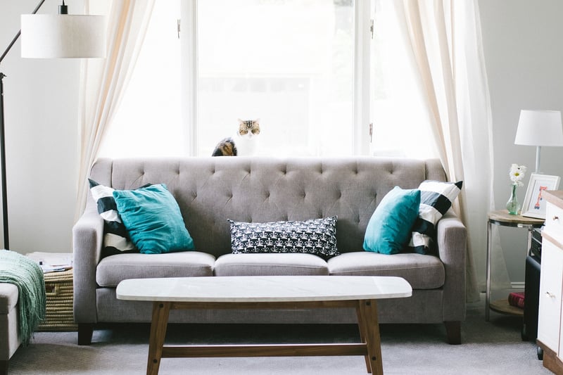 Velvet Sofa Image